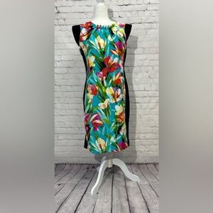 I Le Dress Size 10